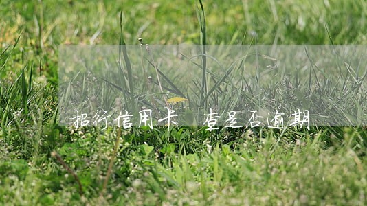 招行信用卡 查是否逾期 招行信用卡 查是否逾期